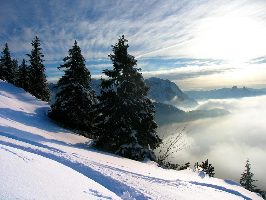 Krosbacher Hof Seefeld in Tirol Exterior foto